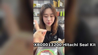 Yağ Sızıntısını Onarın！Hitachi XB00013200 Tamir Takımı